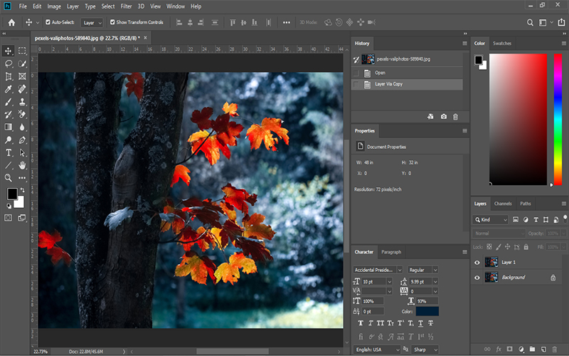 Adobe Lightroom Vs Photoshop Express 2024 (Updated)