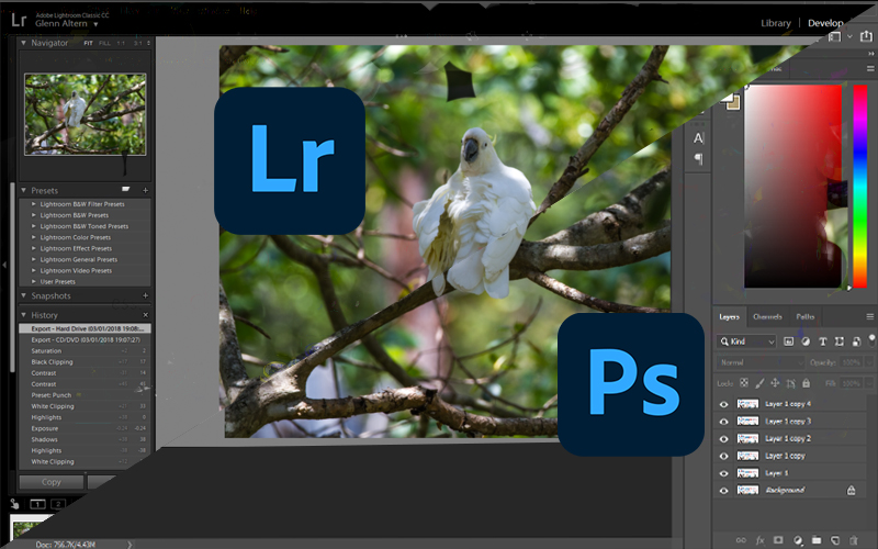 Adobe Lightroom Vs Photoshop Express 2024 (Updated)